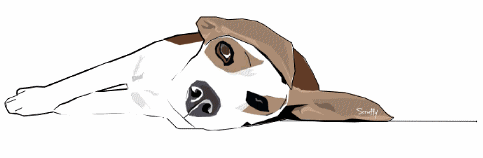 thepuppystorycover1a