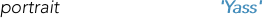 portrait
