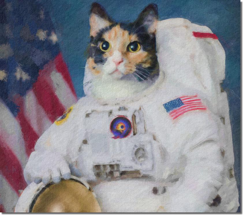 astrocat27521