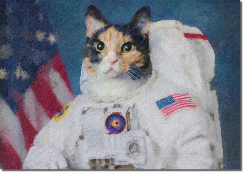 astrocat27521